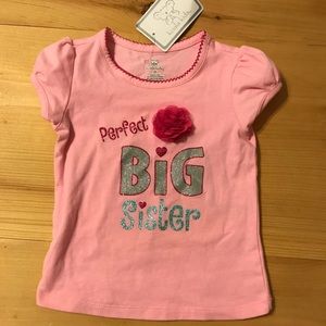2T girls shirt - perfect big sister 🌺
